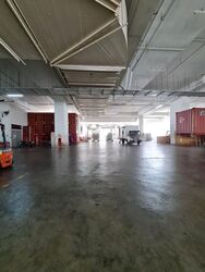 North Spring Bizhub (D27), Factory #458251731